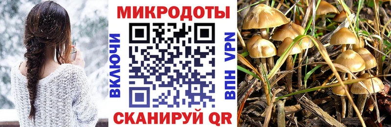 магазин Кулебаки Галлюциногенные грибы Cubensis